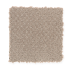 Soft Cheer in Gazelle - Carpet by Mohawk Flooring