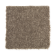 Stylish Story II in Rocky Ridge - Carpet by Mohawk Flooring