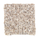 Andantino in Shell Beach - Carpet by Mohawk Flooring