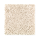 Top Card in Canvas Cloth - Carpet by Mohawk Flooring