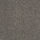 Inspiring in Graphite - Carpet by Shaw Flooring