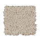 Creative Charm in Wind Chill - Carpet by Mohawk Flooring