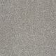 Majority Rules in Cocoa - Carpet by Shaw Flooring