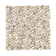 Baycliff in Graceful - Carpet by Mohawk Flooring
