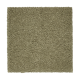 Splendid Freedom in Valley Fog - Carpet by Mohawk Flooring