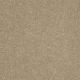 Enjoy The Moment 1 12 in Harp Strings - Carpet by Shaw Flooring