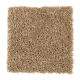 Graceful Beauty in French Canvas - Carpet by Mohawk Flooring