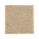 Nature's Appeal I in Raffia Basket - Carpet by Mohawk Flooring