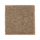 Native Allure I in Rich Earth - Carpet by Mohawk Flooring