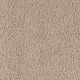 Wish Come True in Taupe Whisper - Carpet by Mohawk Flooring