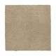Nature's Appeal II in Sand Dollar - Carpet by Mohawk Flooring