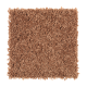 Stylish Silhouette in Sweet Potato - Carpet by Mohawk Flooring