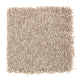 Modern Ease in Rum Cake - Carpet by Mohawk Flooring