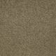 Sandy Hollow I 15' in Green Tea - Carpet by Shaw Flooring