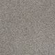 Majority Rules in Birch Bark - Carpet by Shaw Flooring