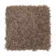 Stylish Silhouette in Rock Wall - Carpet by Mohawk Flooring