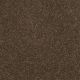 Silver Texture in Latte - Carpet by Shaw Flooring