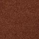 Our Delight III in Maple Leaf - Carpet by Shaw Flooring