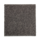 Opulent Charm in Diplomacy - Carpet by Mohawk Flooring