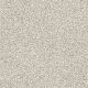 Delicate Distinction Classic I in Breton - Carpet by Shaw Flooring