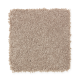 Elegant Appeal I in Arena Dorado - Carpet by Mohawk Flooring
