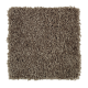 Rare Details in Porpoise - Carpet by Mohawk Flooring