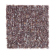 Andantino in Black Cherry - Carpet by Mohawk Flooring