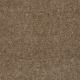 Newport in Sandalwood - Carpet by Shaw Flooring