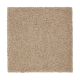 Splendid Freedom in Belvedere - Carpet by Mohawk Flooring