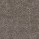 Easy Living I in Walnut Hill - Carpet by Engineered Floors