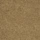 Enduring Comfort III in Country Wheat - Carpet by Shaw Flooring