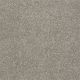 Majority Rules in Mocha Cream - Carpet by Shaw Flooring