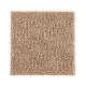 Natural Treasure in Cat Tail - Carpet by Mohawk Flooring