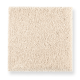 Pleasant Nature in Bare Essence - Carpet by Mohawk Flooring