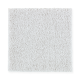 Exquisite Attraction in Evening Eclipse - Carpet by Mohawk Flooring