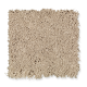 Manchester Gardens in Talc - Carpet by Mohawk Flooring