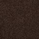 Different Times III 12 in Walnut - Carpet by Shaw Flooring
