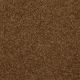 Different Times I 15 in Camel - Carpet by Shaw Flooring