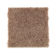 High Hand in Dried Peat - Carpet by Mohawk Flooring