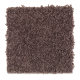 Witty Charm in Icy Violet - Carpet by Mohawk Flooring