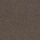 Quiet Comfort Classic II in Spring Wood - Carpet by Shaw Flooring