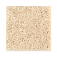 Brilliant Design in Blondie - Carpet by Mohawk Flooring