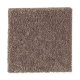 Eternal Allure II in Burnished Brown - Carpet by Mohawk Flooring