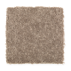 Santorini Style II in Wrangler - Carpet by Mohawk Flooring