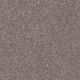 Everyday Easy in Mocha - Carpet by Shaw Flooring