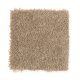Iconic Idea Solid in Whole Grain - Carpet by Mohawk Flooring
