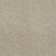 Roadside in Earth Beige - Carpet by Shaw Flooring
