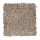 Benson Park in Weathered Wood - Carpet by Mohawk Flooring