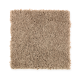 Top Card in Palisade - Carpet by Mohawk Flooring