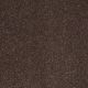 Enjoy The Moment III 12' in Iron Gate - Carpet by Shaw Flooring